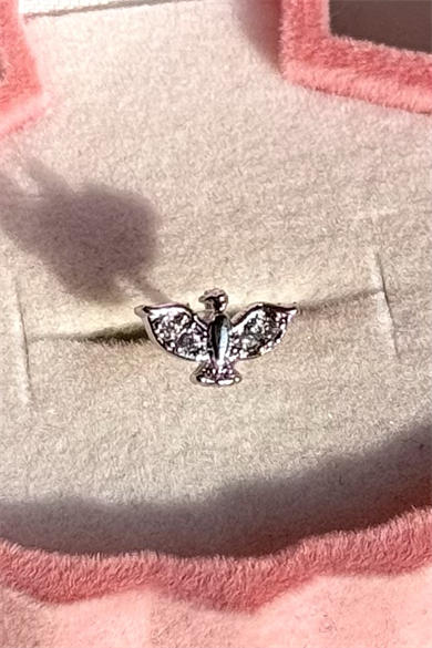 Anka Kuşu Piercing Cerrahi Çelik