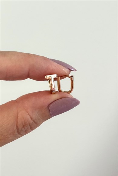 Mini T Motifli Oval Küpe Çifti | Çelik