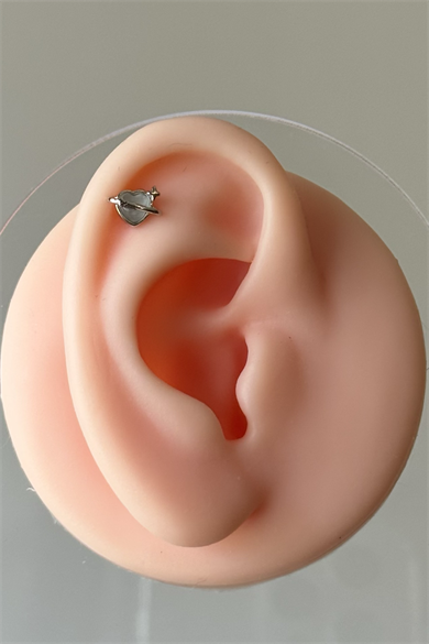 Saturn Kalp Piercing Cerrahi Çelik