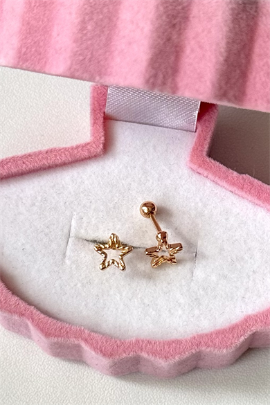 Yıldız Piercing Cerrahi Çelik