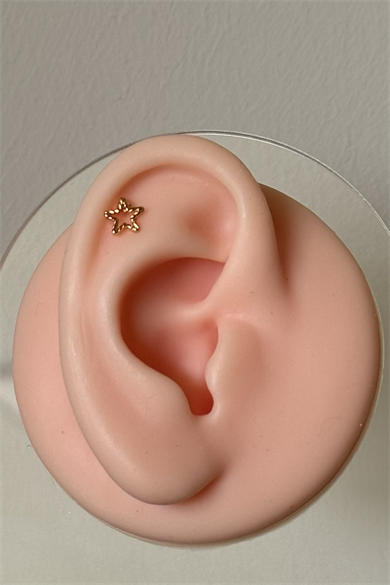 Yıldız Piercing Cerrahi Çelik
