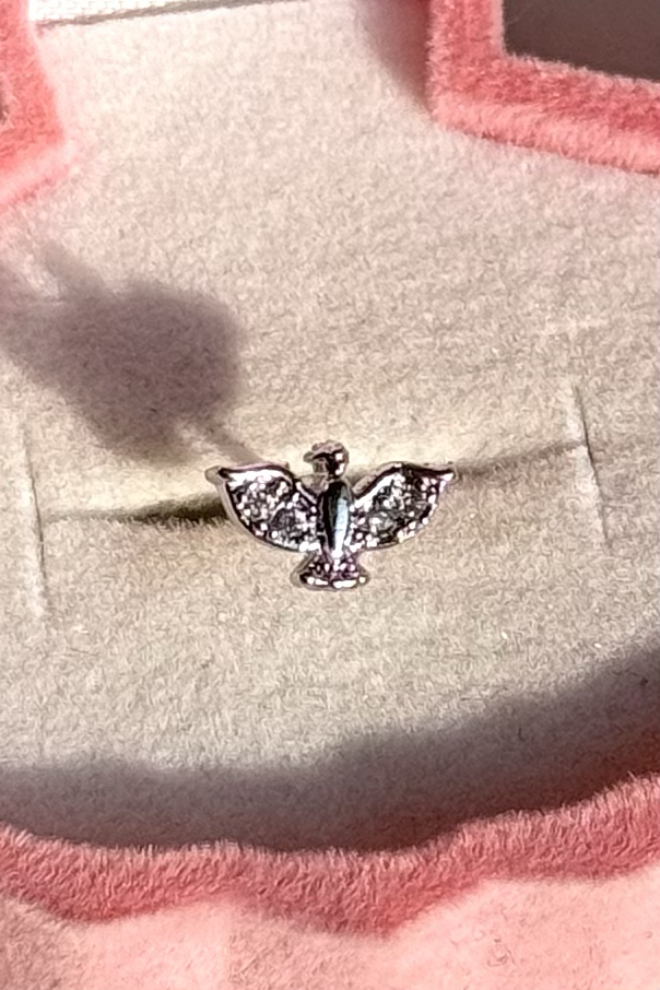 Anka Kuşu Piercing Cerrahi Çelik