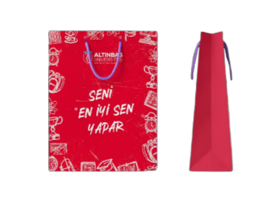 Karton Çanta / Cardboard bag