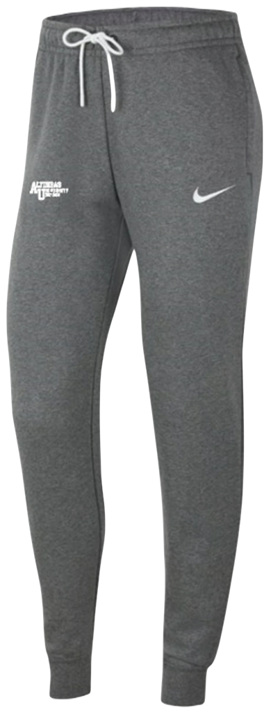 Nike Kadın Eşofman Altı Gri / Nike Womens Sweatpants Gray