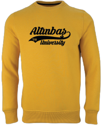 Sweatshirt Hardal / Sweatshirt Mustard