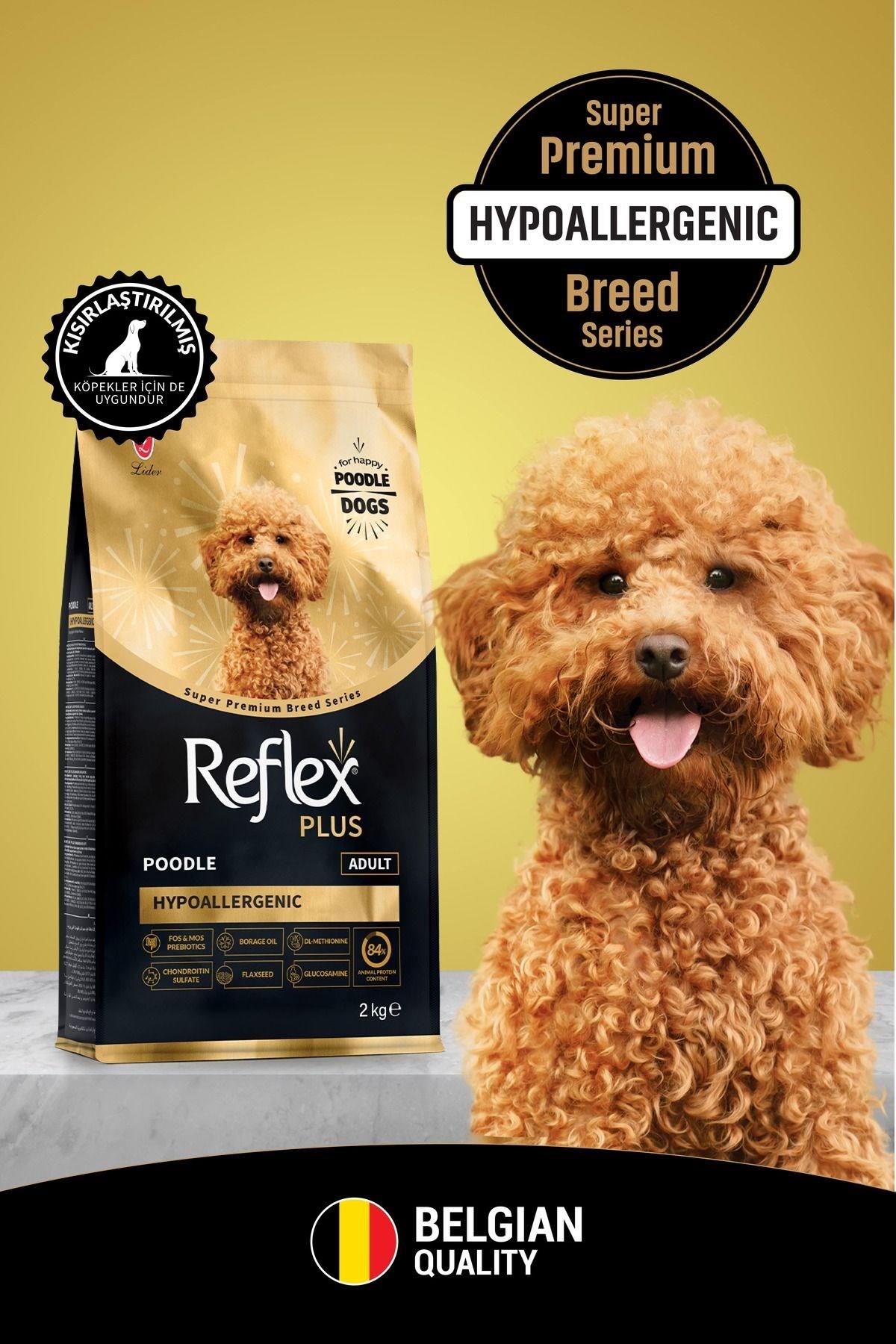  ​Reflex Plus Poodle Yetişkin Köpek Maması 2 Kg