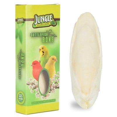 Kutu Mürekkep Balığı Kemiği (Kalamar)