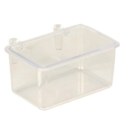 Orta Mamalık Şeffaf