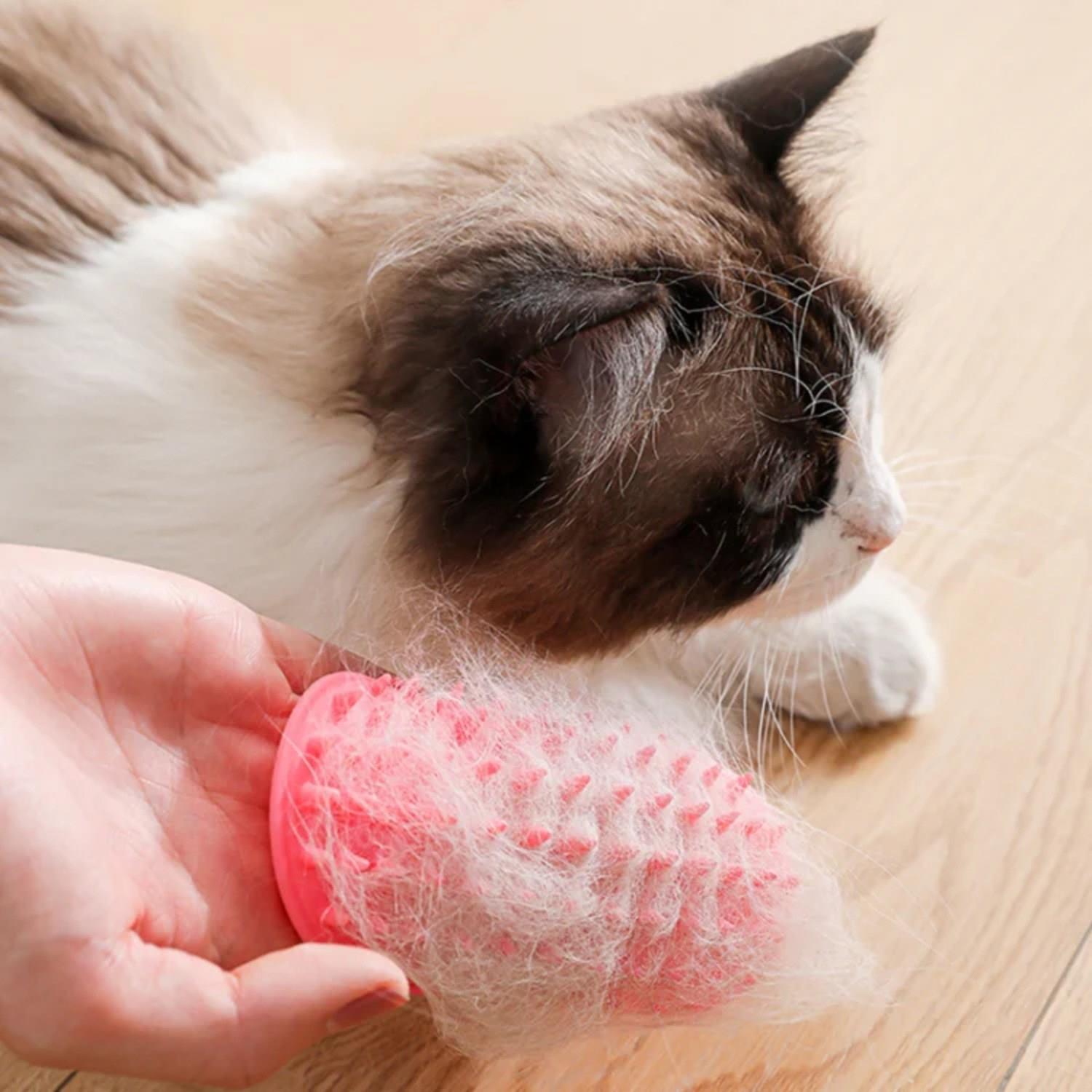 Pribor Kedi Köpek Köşe Kaşıyıcı ve Tüy Temizleyici Aparatı 1 Adet