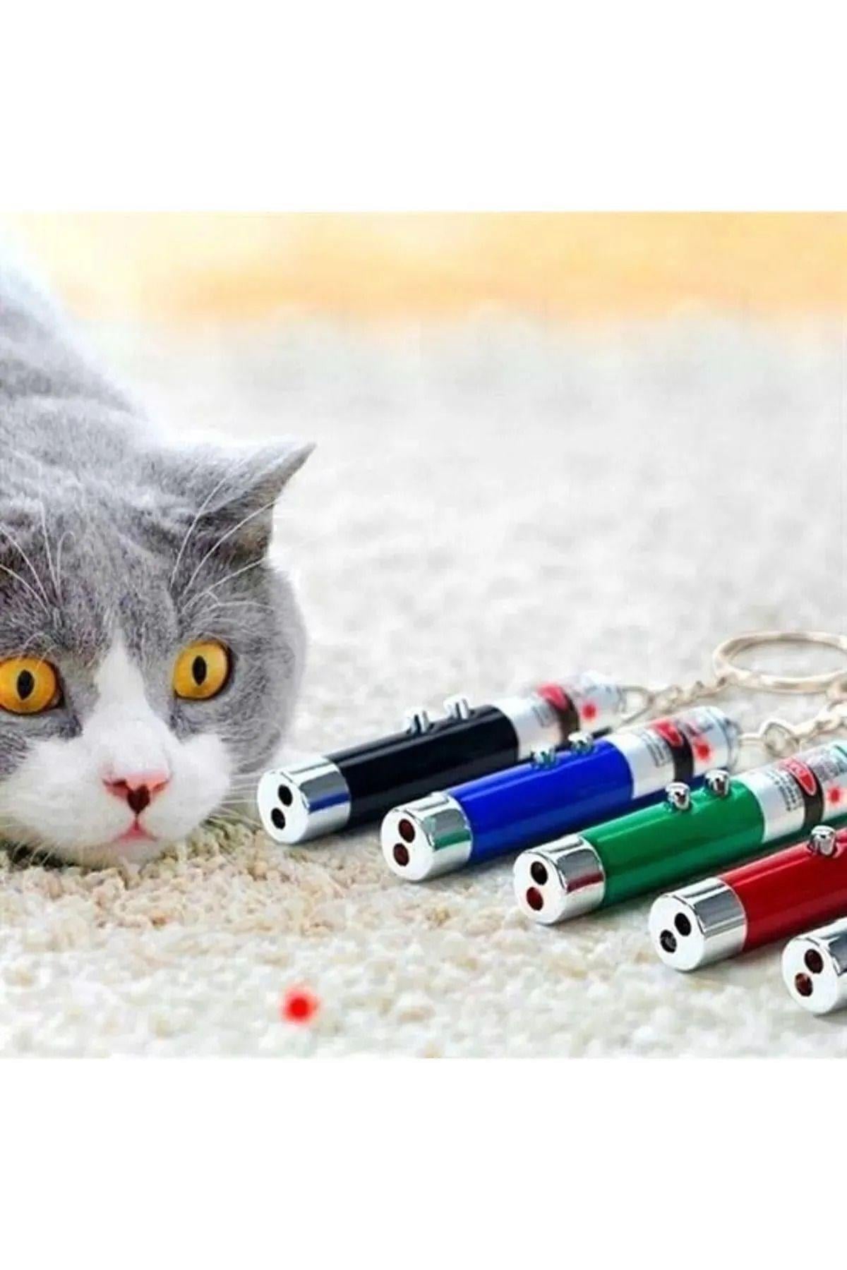 Pribor Kedi Lazer Oyuncak Anahtarlık 2 Fonksiyonlu
