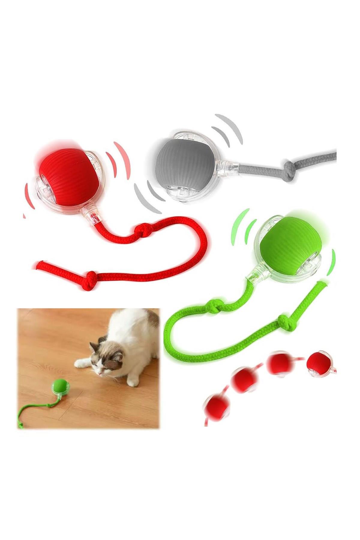 Pribor Kediler ve Köpekler için Kuyruklu Etkileşimli Oyun Topu, İpli USB Şarjlı 3 Modlu 1 Adet