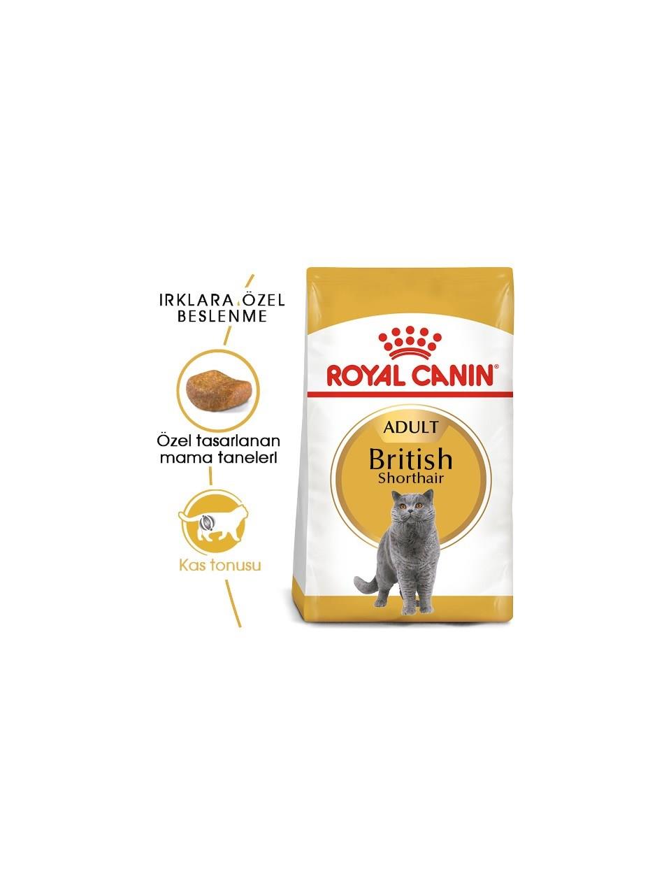 Royal Canin British Shorthair Için Kuru Kedi Maması 4 kg