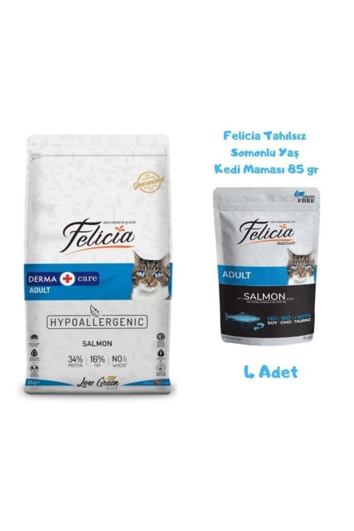 Somonlu Yetişkin Kedi Maması 2 Kg + Yaş Mama 85 Gr (4 Adet)