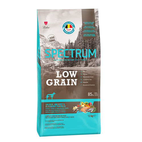 Spectrum Somonlu ve Yaban Mersinli Orta ve Büyük Irk Düşük Tahıllı Yetişkin Köpek Maması 12 kg