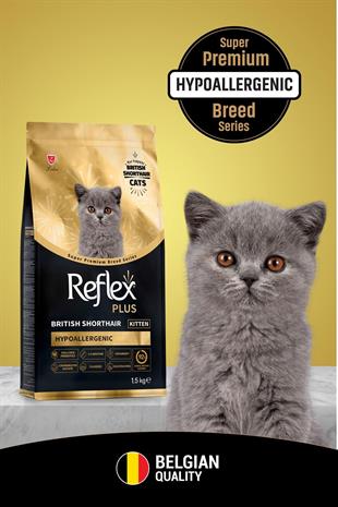  Reflex Plus British Shorthair Yavru Kedi Maması 1.5 Kg