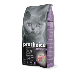 Prochoice Pro 38 Kitten Kuzu Etli Yavru Kedi Maması 15 KG