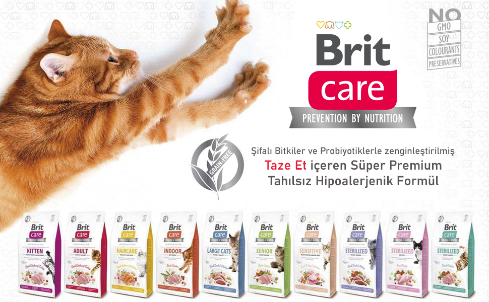 brit-kedi