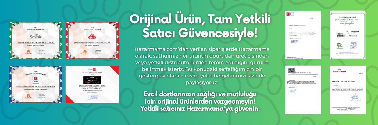 Yetki Belgesi