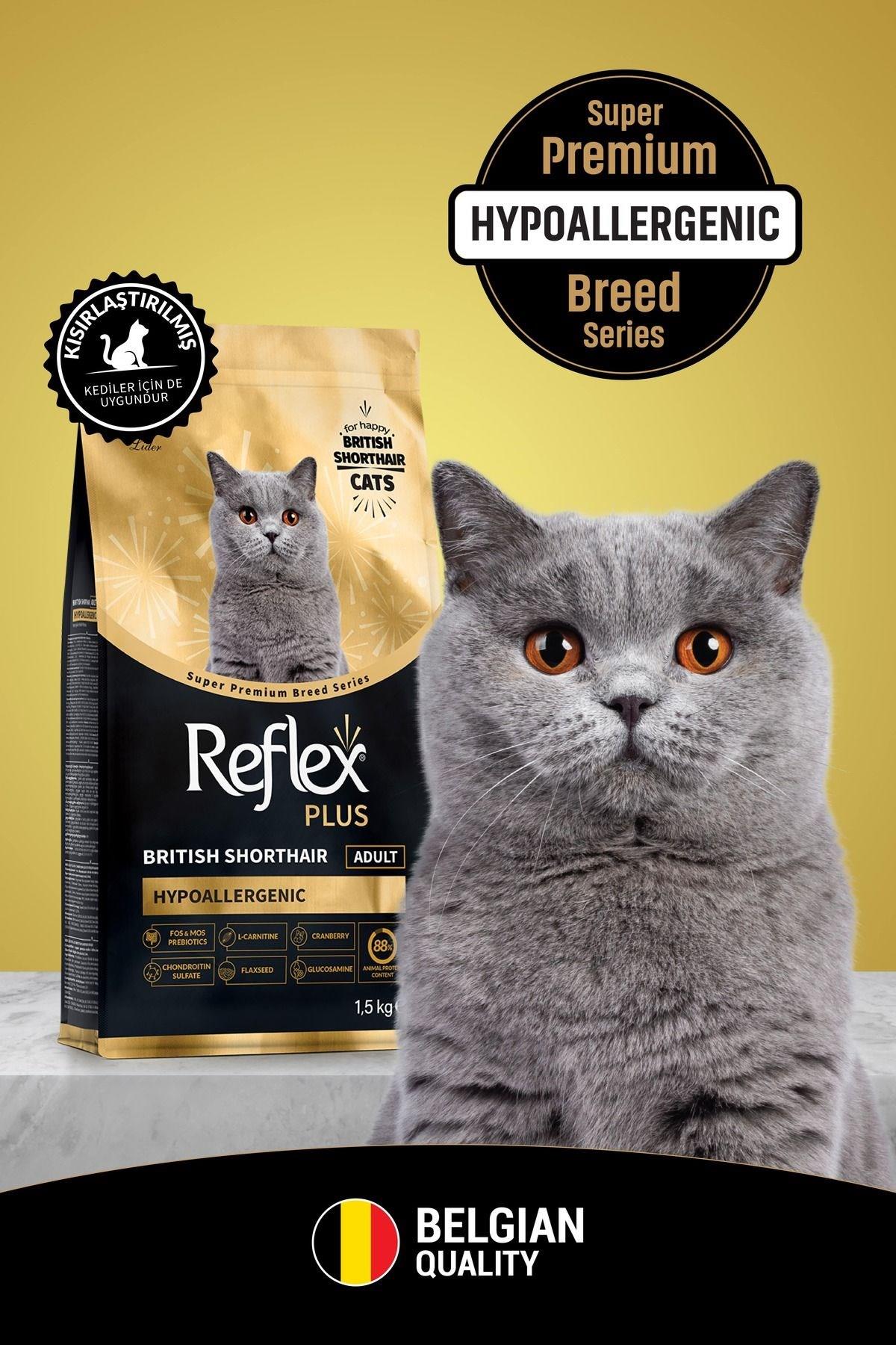  Reflex Plus British Shorthair Yetişkin Kedi Maması 1.5 Kg