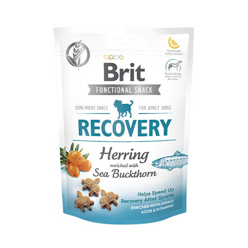 Brit Functioal Snack Recovery Ringa Balıklı Köpek Ödül Maması 150 G
