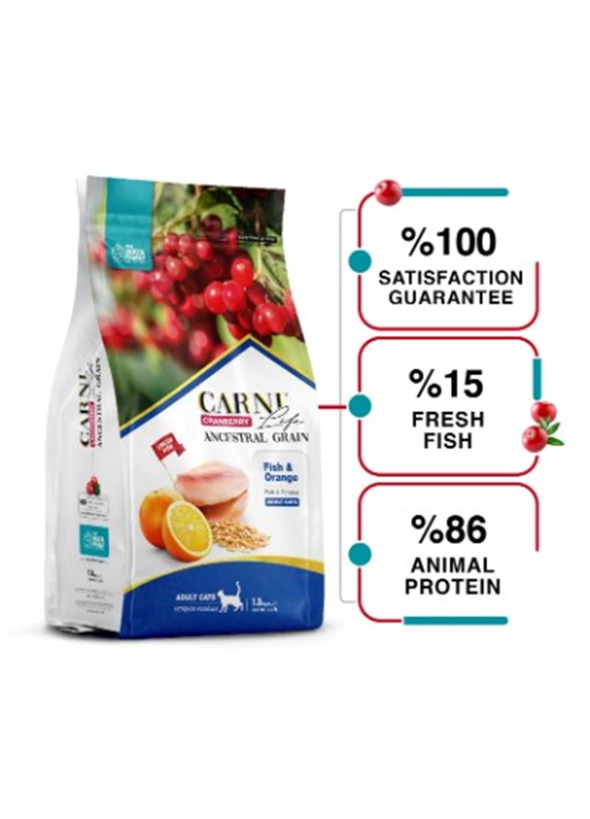 Carni Life Cranberry Somon ve Portakallı Kısırlaştırılmış Kedi Maması 10 KG