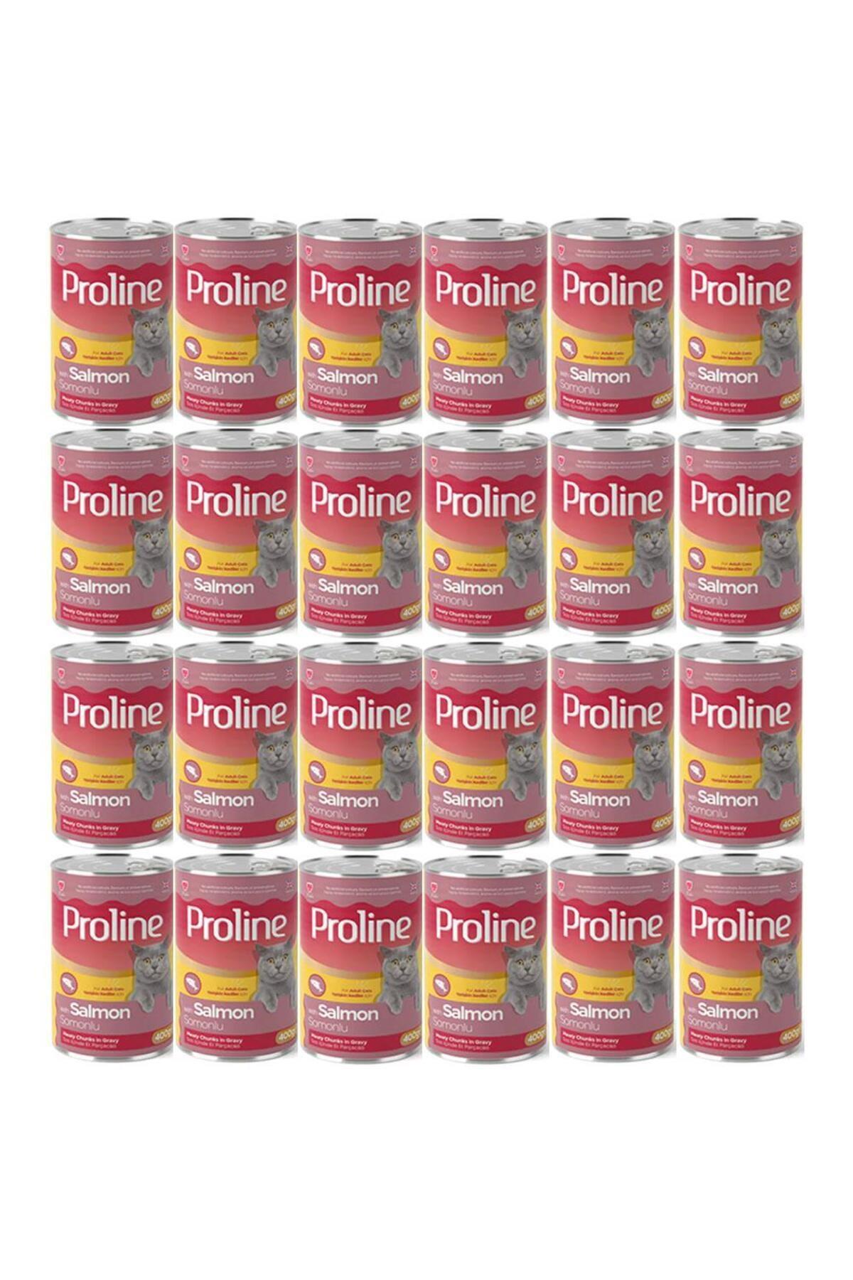 Proline Somonlu Yetişkin Kedi Konservesi 400 Gr*24 Adet