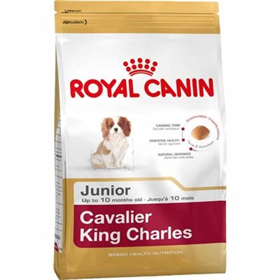 Royal Canin Junior King Charles Yavru Köpek Maması 1.5 KG