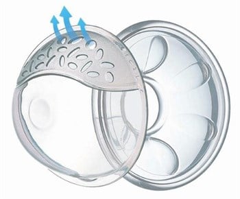 Mycey Göğüs Kalkanı