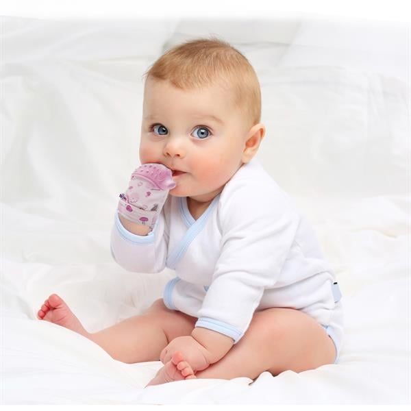 BBJ.6128Babyjem Diş Kaşıyıcı Eldiven Kirpi