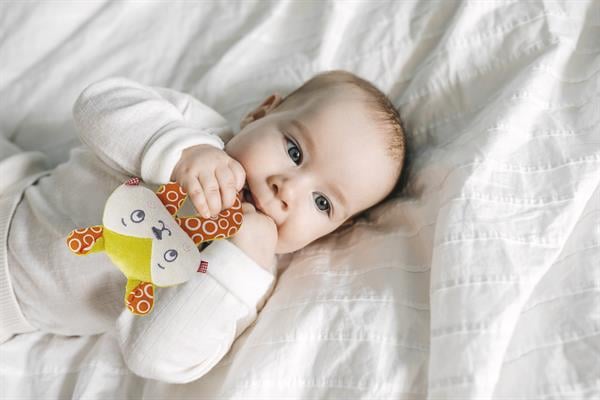 BBJ.8179Babyjem Çıngıraklı Kedi Oyun Arkadaşım