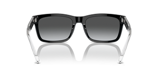Emporio Armani EA4224 5017/T3 57/19 