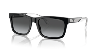 Emporio Armani EA4224 5017/T3 57/19 