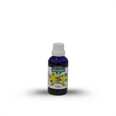 Kantaron Yağı 50 ml