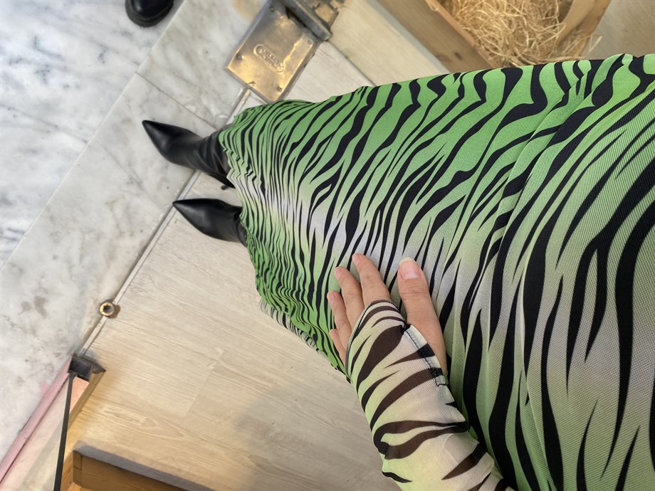 Yeşil parmak Geçmeli Zebra Elbise