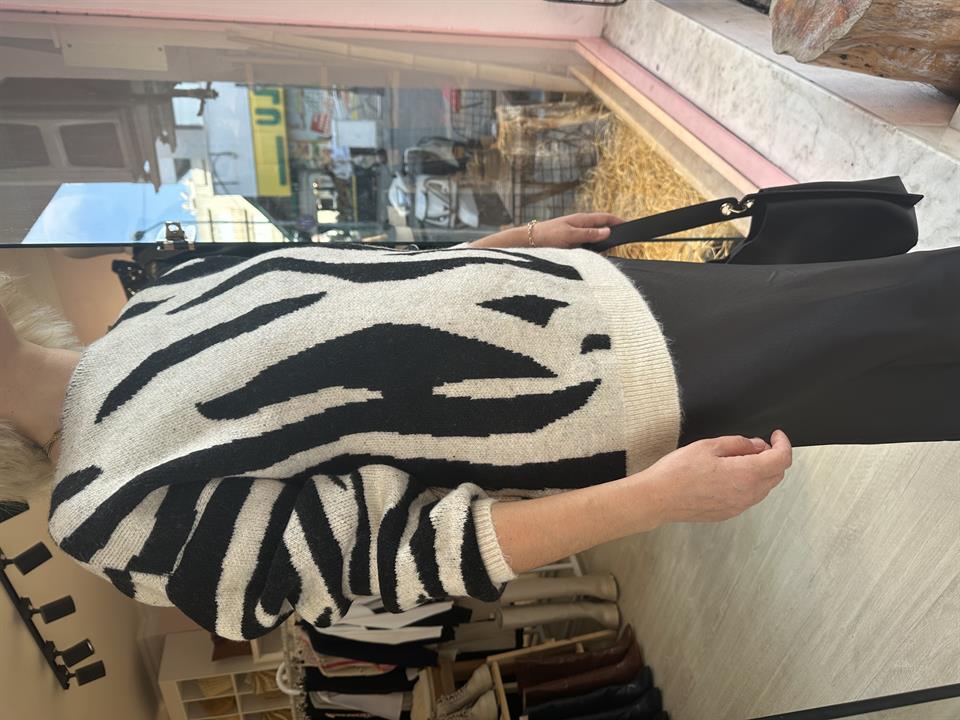 Zebra Desen Kazak