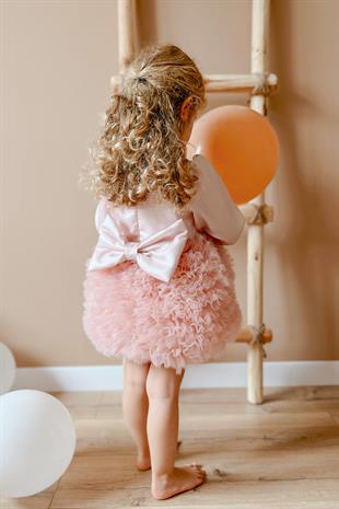 Uzun Kollu Pudra Tütülü Kız Bebek Prenses Elbise - Asel