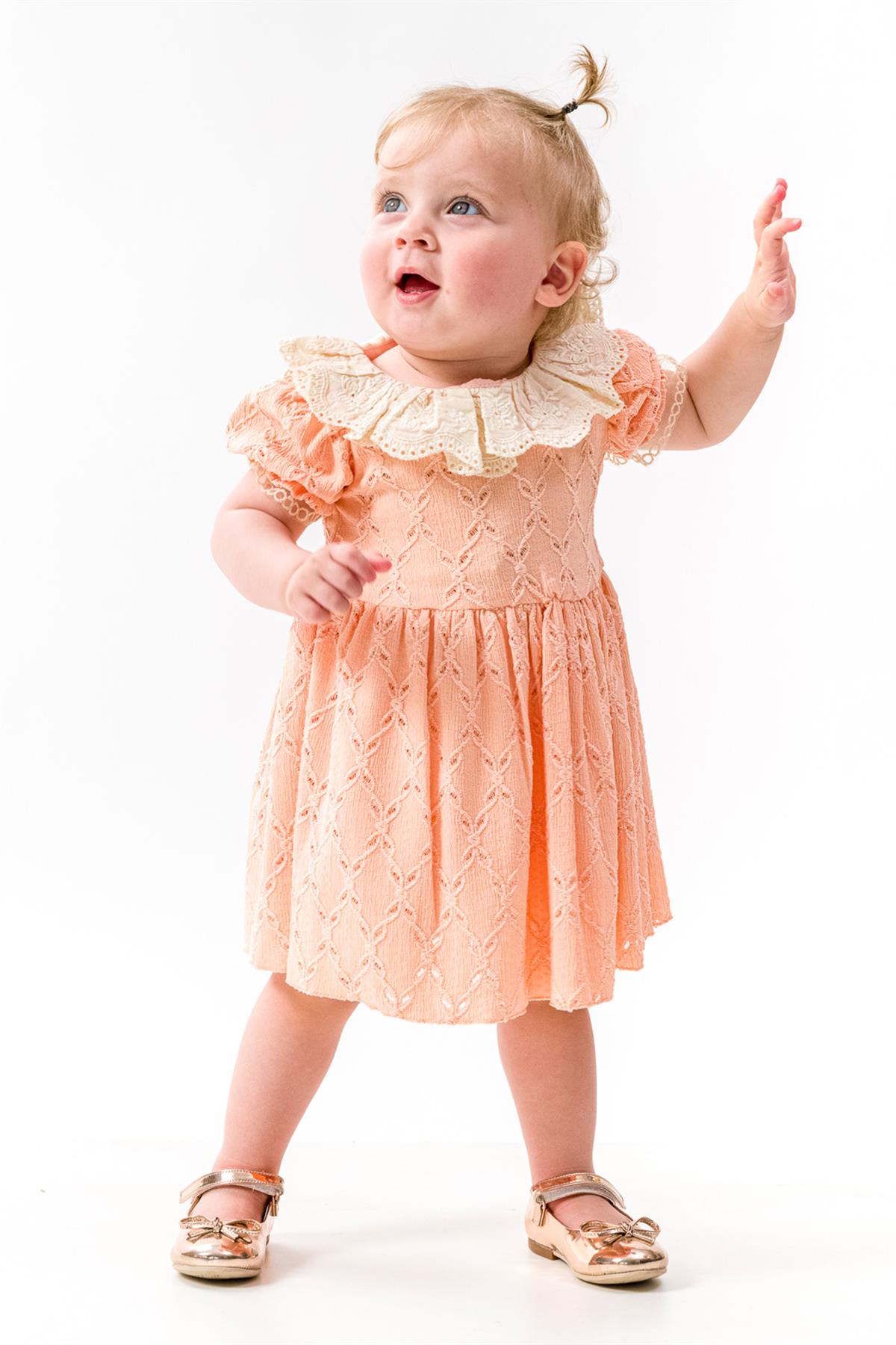 Somon Fisto Yakalı Brode Kız Bebek Elbise - HollyLM1206 | Le Mabelle
