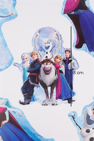 Elsa ve Frozen Detaylı Banner