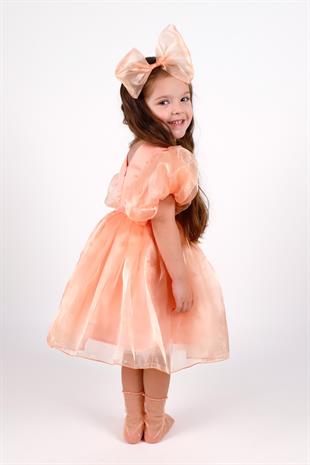 Somon Taçlı Organze Kız Çocuk Elbise - Carlene