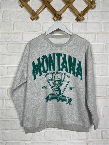 İkiiplik Kumaş İçi Şardonlu Yazı Baskılı Sweatshirt  (GRİ)