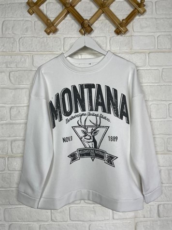 İkiiplik Kumaş İçi Şardonlu Yazı Baskılı Sweatshirt (BEYAZ)