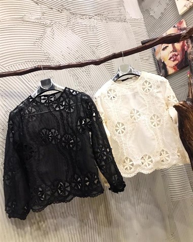 Organze Kumaş Üzerine Gübür Detalı Bluz (SİYAH & EKRU)