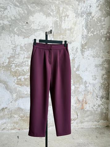 Sırt Lastik Detaylı Havuç Model Pantolon (Mürdüm)