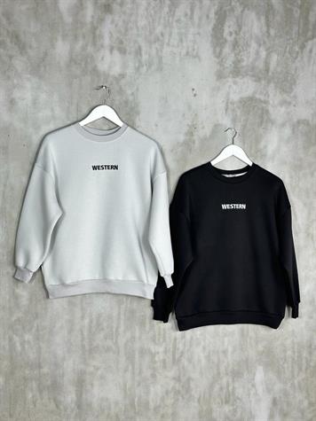 Sırtı Zebra Nakışlı Kadın Sweat (Gri)