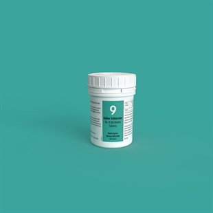 ADLER SCHUSSLER NO 9 | Natrium Phosphoricum