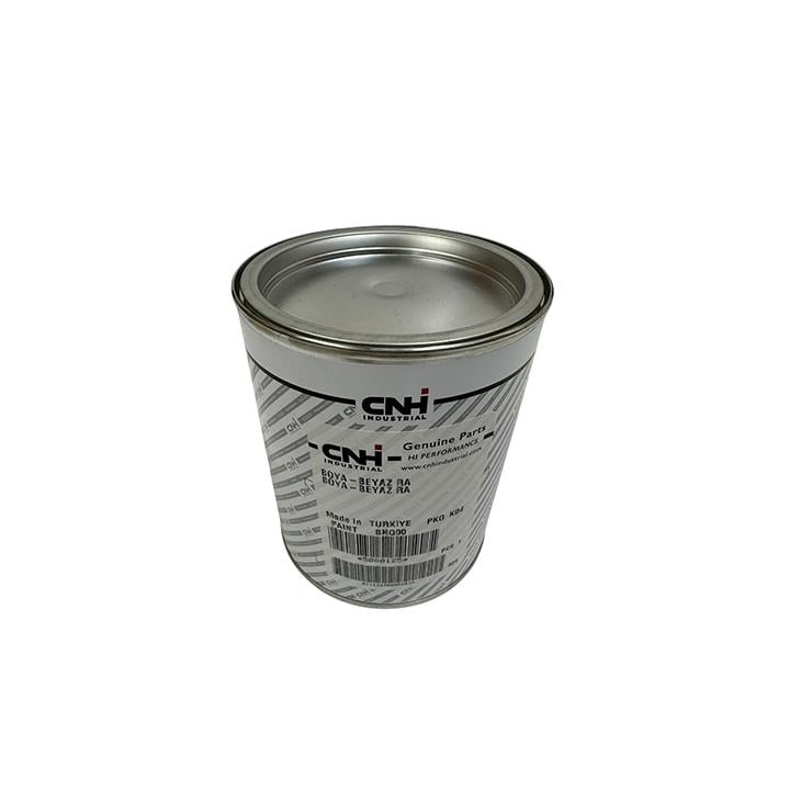 RAPİD BOYA-BEYAZ 1KG