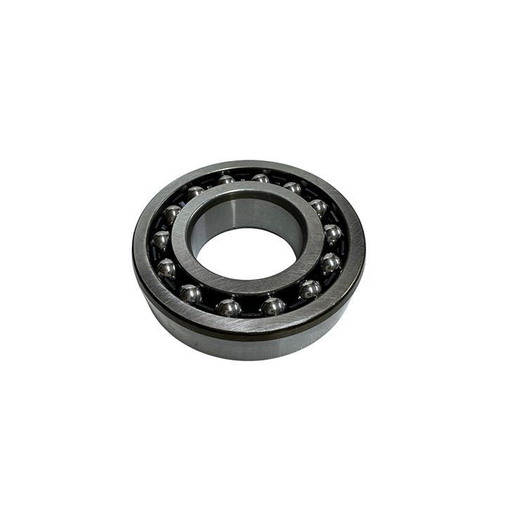 RULMAN 1206