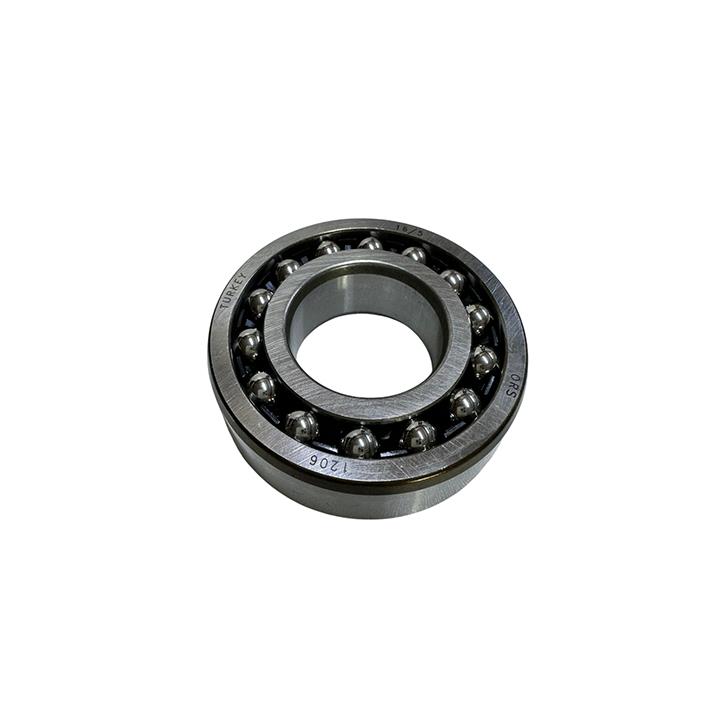 RULMAN 1206