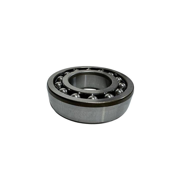 RULMAN 1206