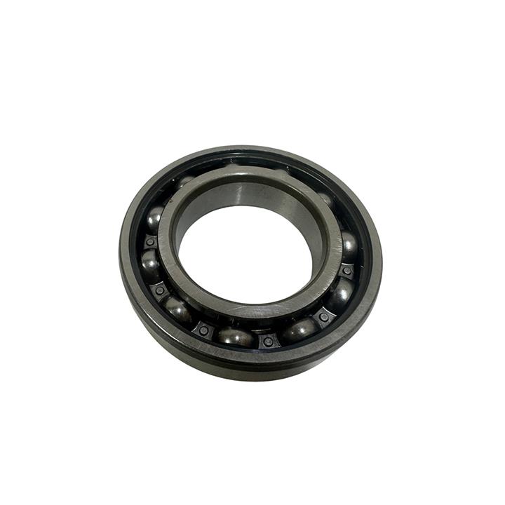 RULMAN 6007